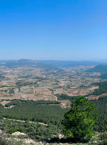villar del arzobispo